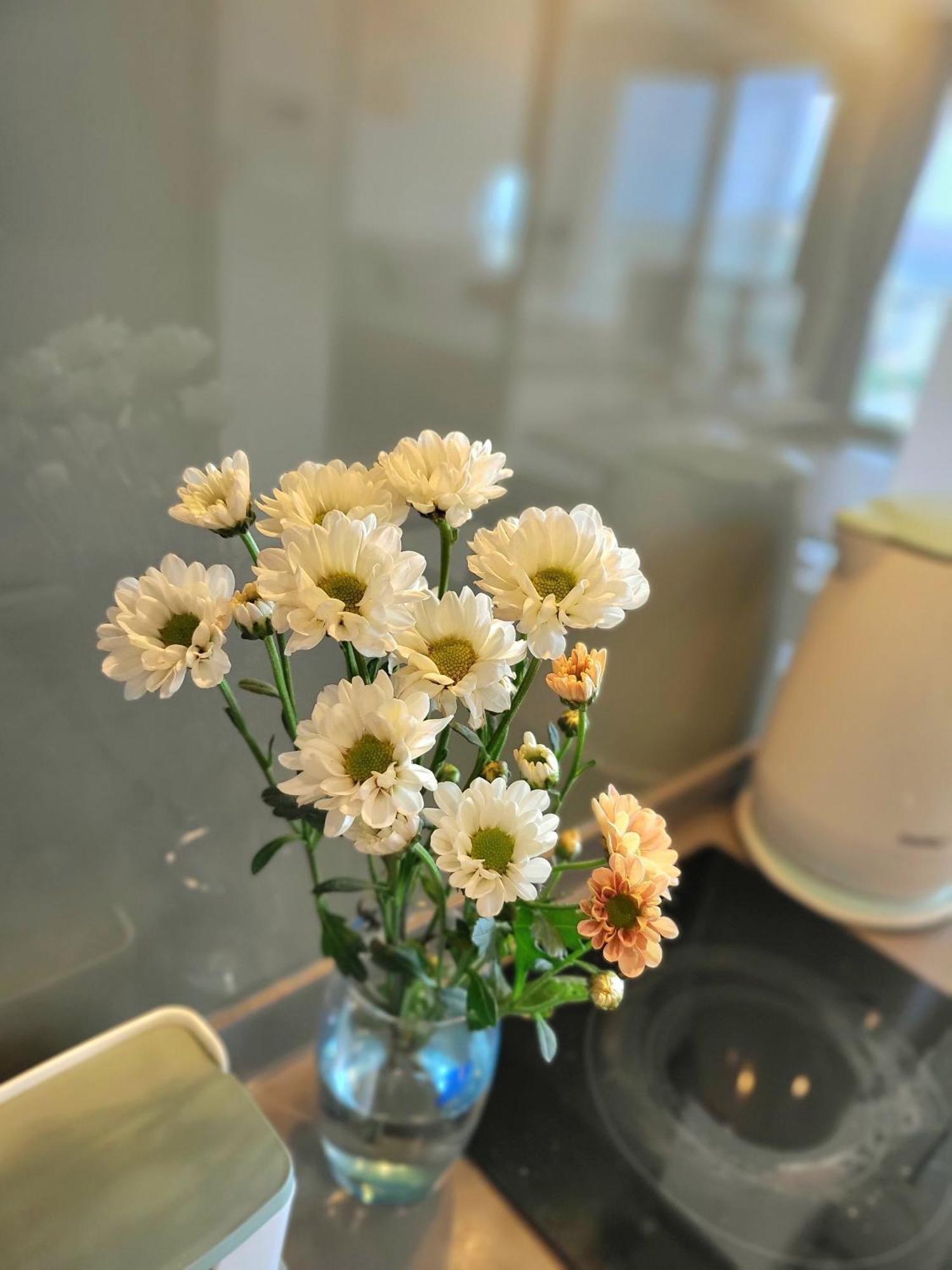 The Song Vung Tau Apartment מראה חיצוני תמונה